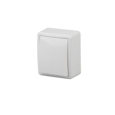 Выключатель ЭРА 10АХ-250В, IP20, ОУ, Эра Эксперт, белый, 11-1201-01 (1/16) 