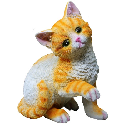 Котёнок игривый