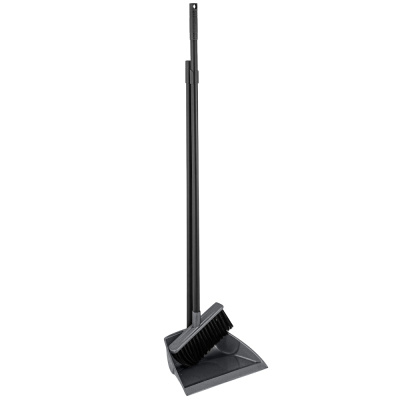 Щетка для пола с совком (набор) Ленивка Etna, серый 221212835/01 IDIland