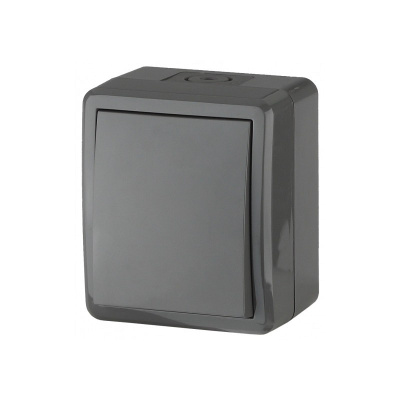 Выключатель IP54 10АХ-250В ОУ Эра Эксперт серый
