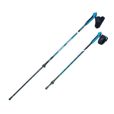 Палки для скандинавской ходьбы NWS-116