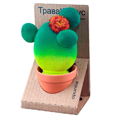 ТраваКактус Опунция зеленый (Сады Аурики)