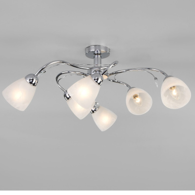 Потолочный светильник / хром 30169/6