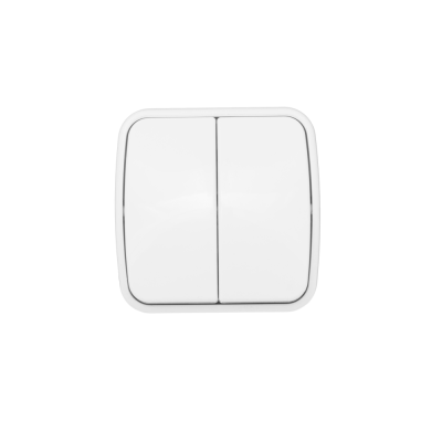 Выключатель двухклавишный ОП 10А белый Basic