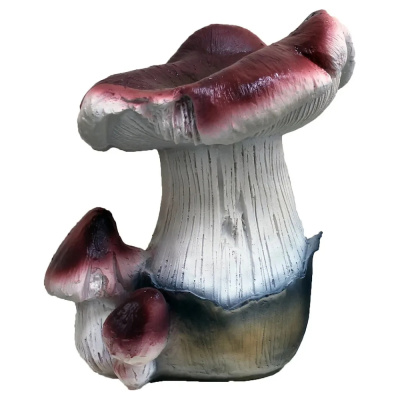 Гриб сыроежка тройной