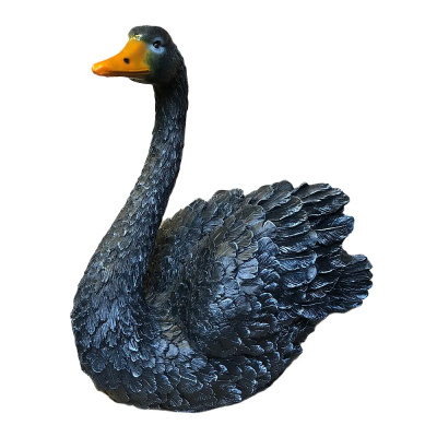 Лебедь средний (чёрный)