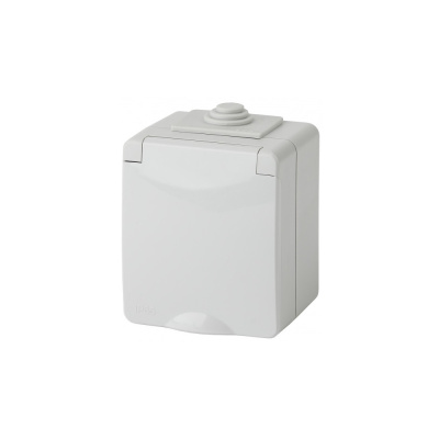 Розетка 2P+E IP65, 16АХ-250В, ОУ, Эра Эксперт, серый 