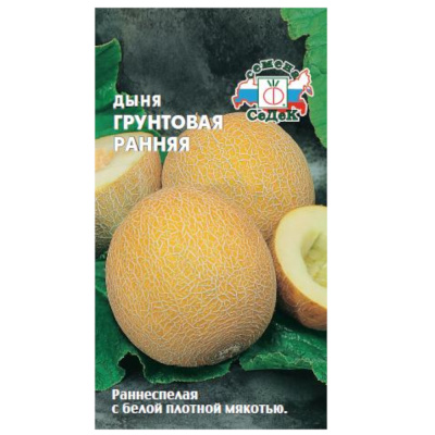 Дыня Грунтовая ранняя