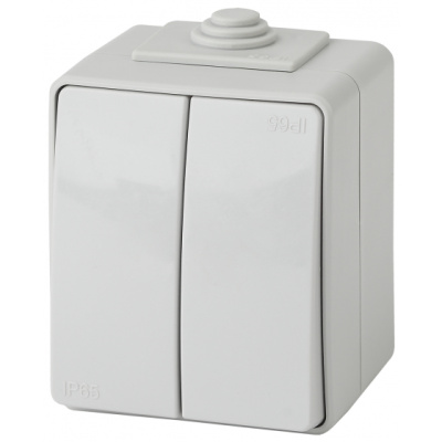 Выключатель двойной IP65, 10АХ-250В, серый, 11-1604-03 ЭРА 