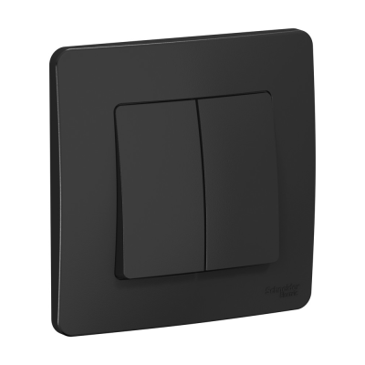 Выключатель скрытой установки двухклавишный(сх.5), 10A, 250B, антрацит BLANCA 