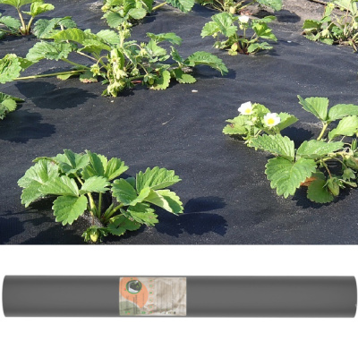 Агротекс 80 "UV"- чёрный  1,6*200м