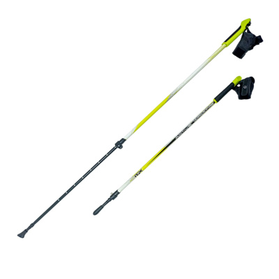 Палки для скандинавской ходьбы NWS-118