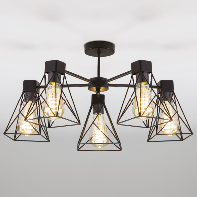 Потолочный светильник / черный 70107/5