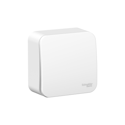 Выключатель одноклавишный наружный (cх.1) с изолирующей пластиной, 6а, 250в, белый BLANCA 