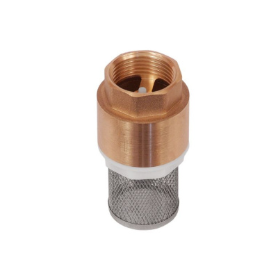 Клапан обратный 1 дюйм с пластиковым клапаном и несъемным фильтром.150гр