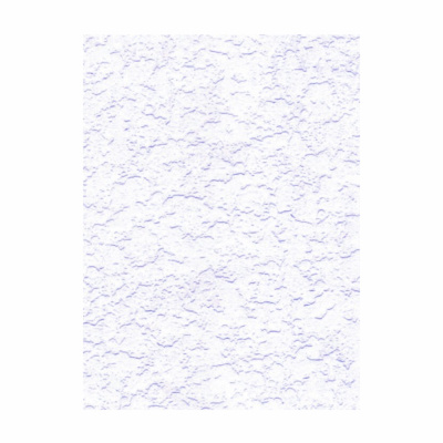 Обои Крошка-11 Гомель пена 21С53-1К - 25м (5)