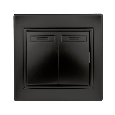 Выключатель двойной, 10А-250В, IP20, СУ, Plano, антрацит 1-104-05  Intro 