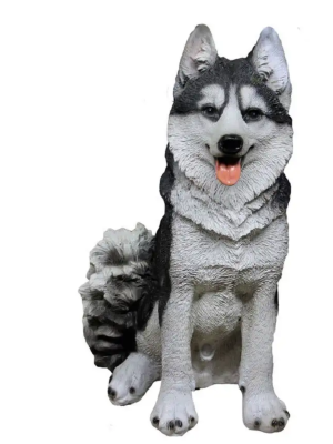 Собака Хаски