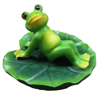 Лягушка загорает