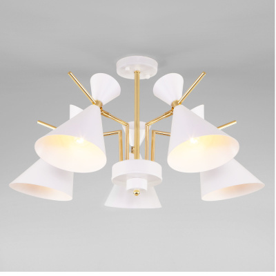 Потолочный светильник / белый 70114/5