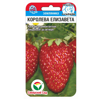 Земляника (клубника) Королева Елизавета крупноплодная 10шт (Сиб сад)