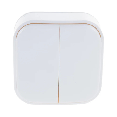 Выключатель двухклавишный серия IONICH, о/у, 10А, 220В, белый (еврослот)