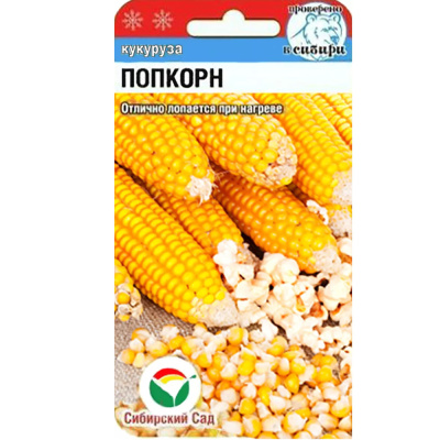 Кукуруза Попкорн 10шт (Сиб сад)