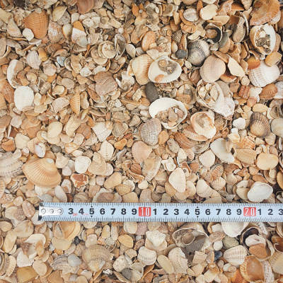 Ракушка Каспийская фр 7-12мм