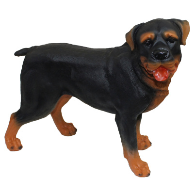 Собака Ротвейлер средний